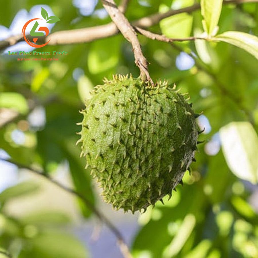 Mãng cầu đông lạnh định lượng 100gr Sau rieng dinh luong 4 1