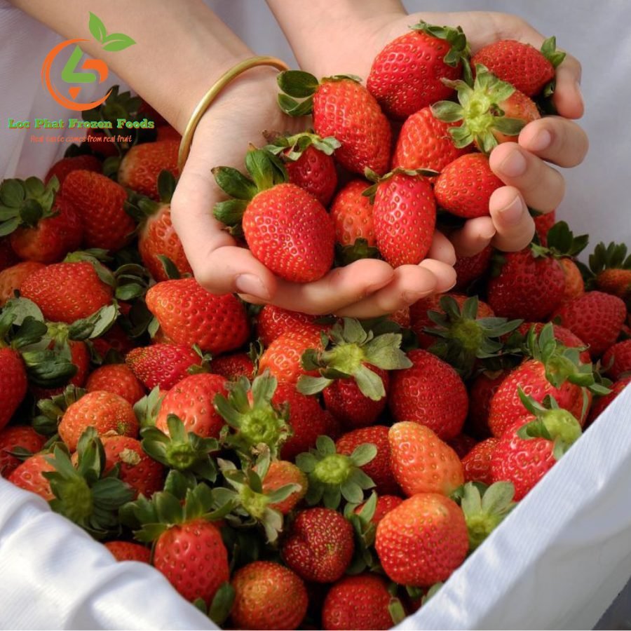 Dâu tây Đà Lạt đông lạnh dau tay da lat 2