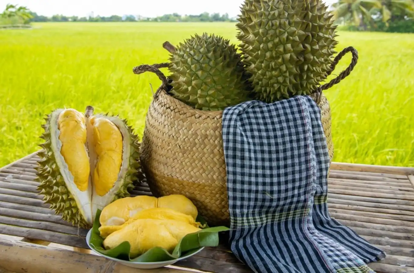 Sầu riêng loại nào ngon nhất ở Việt Nam? Sầu riêng loại nào ngon nhất
