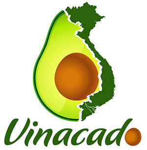 Trà Doanh Nhân | Tinh Hoa Vị Trà Việt